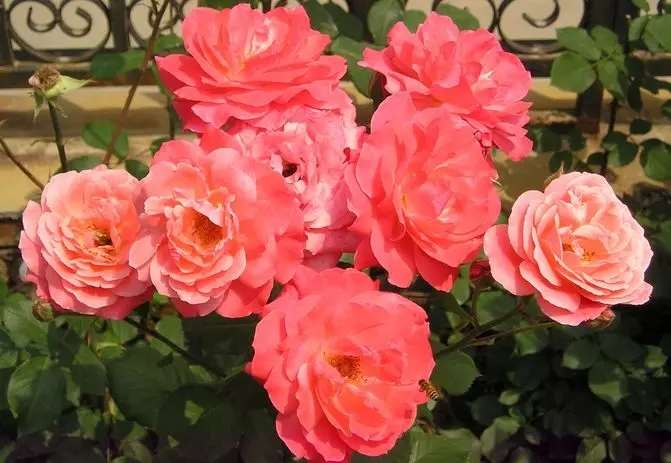 我國苗木花卉產(chǎn)業(yè)年產(chǎn)值達(dá)4500多億元　成為生態(tài)