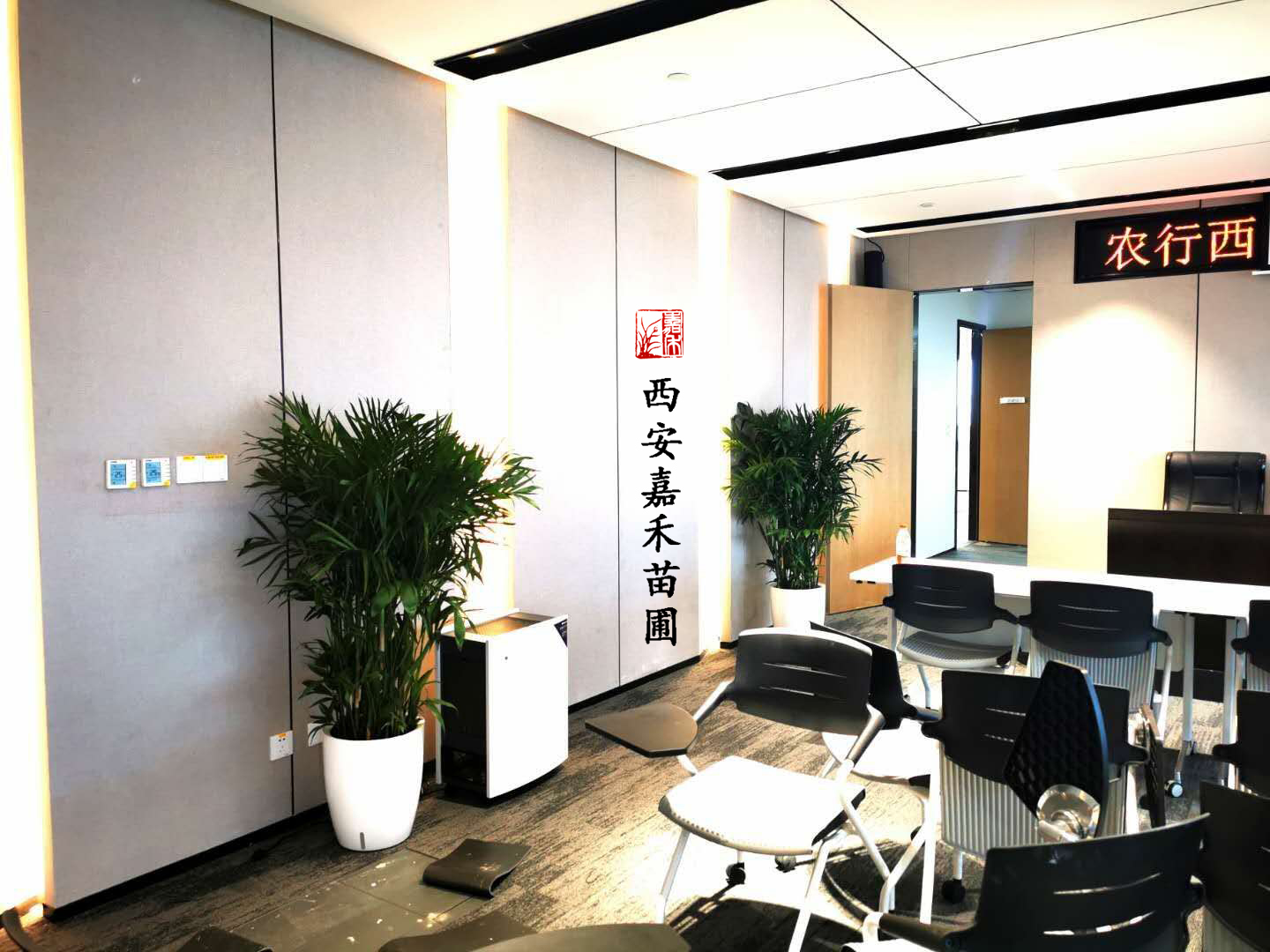 西安銀行大廳辦公室綠植租擺完成