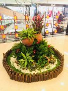 銀行植物租賃方案