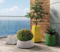 西安嘉禾苗圃告訴您：綠植租賃有什么價值呢？