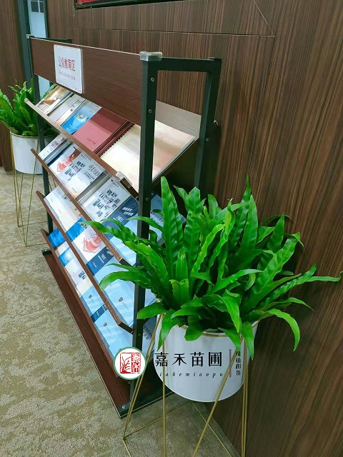 銀行綠植花卉租賃設(shè)計|西安嘉禾苗圃