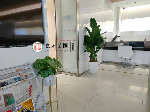 銀行如何通過花卉租擺綠植租賃服務(wù)打造宜人工作空間