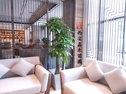 秋冬季節(jié)，3種花需要&ldquo;懶養(yǎng)&rdquo;，澆水越多越爛根，管住手！